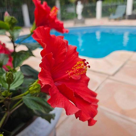 Les Jardins Du Patriarche Hotel 아그 외부 사진