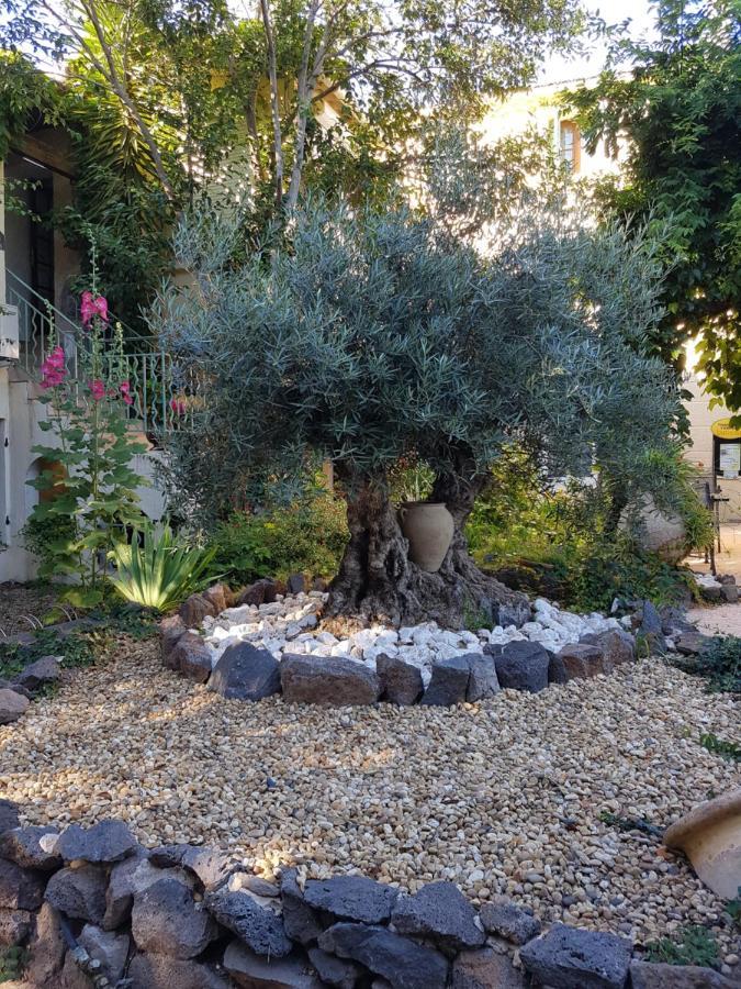 Les Jardins Du Patriarche Hotel 아그 외부 사진