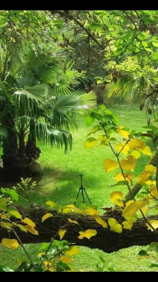 Les Jardins Du Patriarche Hotel 아그 외부 사진