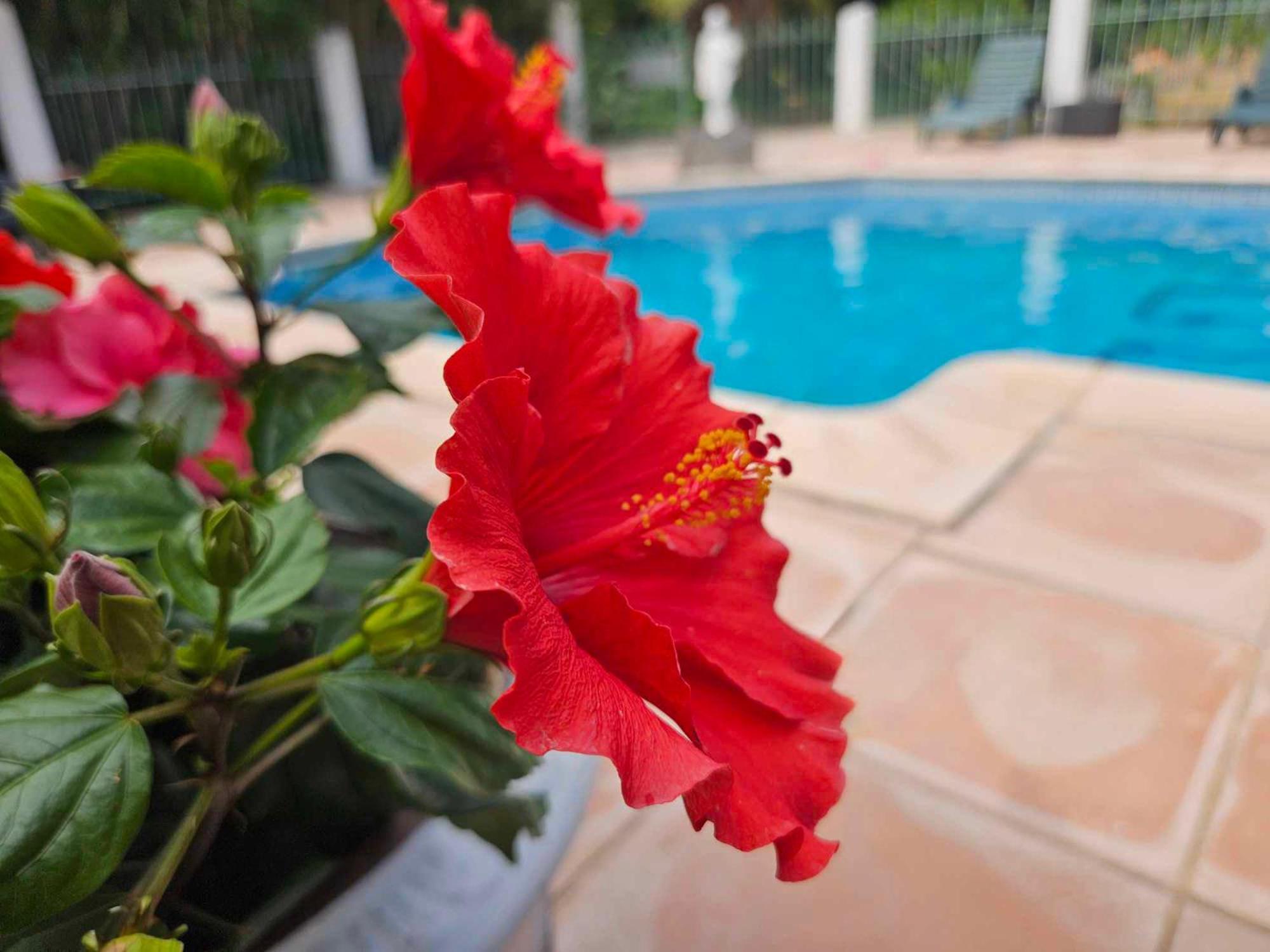 Les Jardins Du Patriarche Hotel 아그 외부 사진