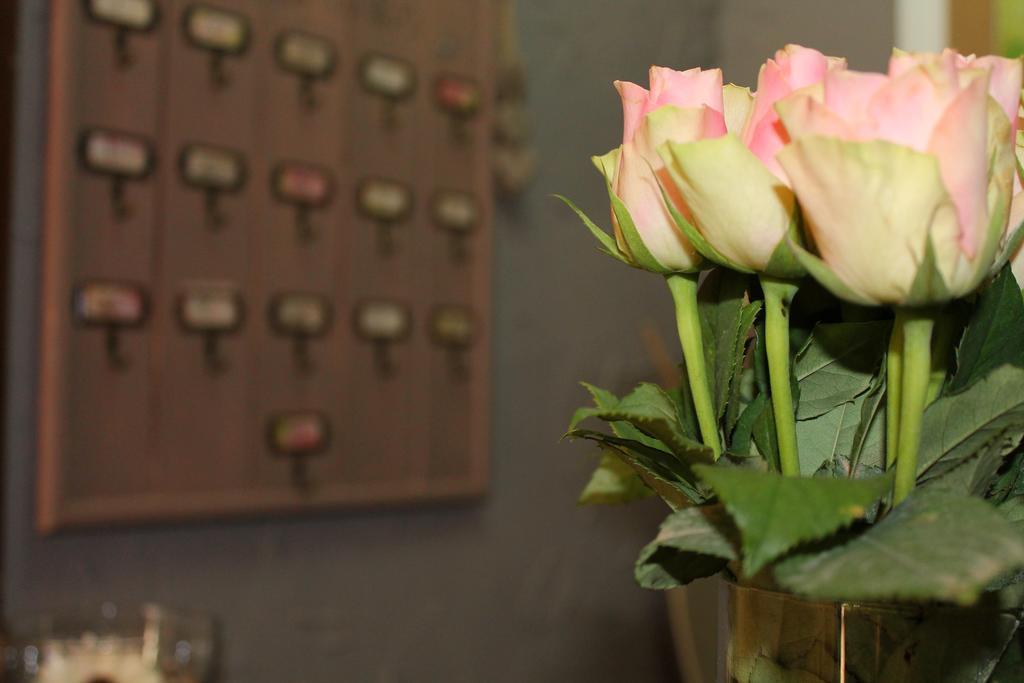 Les Jardins Du Patriarche Hotel 아그 외부 사진
